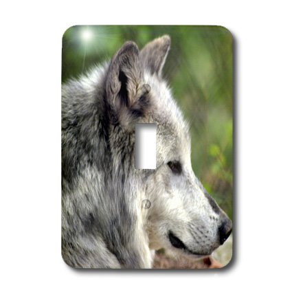 Wolf-Single Interrupteur à baïonnette 3dRose pour chambre et salon chalet