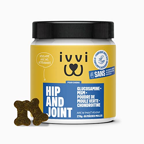 ivvi - Hip and Joint - Articulations, Anti-Arthrose - Complément Alimentaire pour Chien, Hautement Concentré - MSM, Moule à Lèvres Vertes, Glucosamine - 60 Friandises au Poulet, 270g