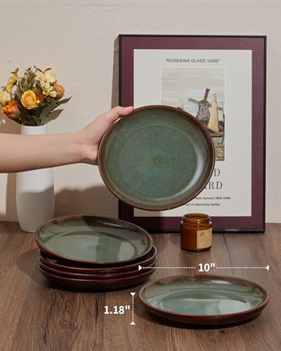 Image of Pokini Ceramic Dinner Plates Set of 6, 10inch Salad, Dessert Plates Dishes