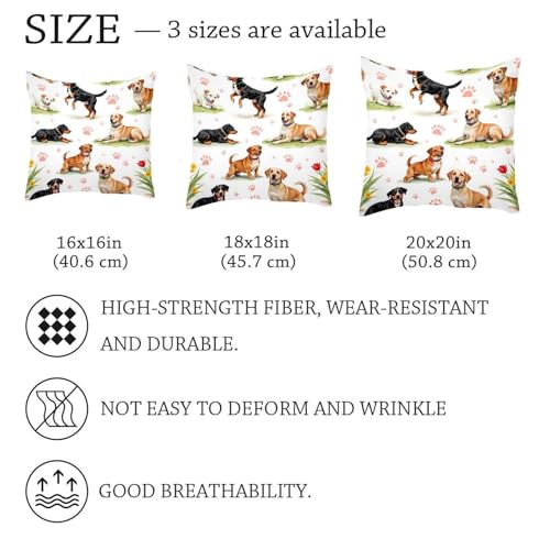 Fundas de almohada decorativas de terciopelo suave 50x50 7