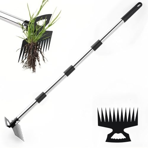 Image of HASTHIP 2-in-1 Weeder Tool 150cm Telescopic Rake Hoe for Garden Care