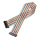 QUARKZMAN IDC Kabel Regenbogen Flachbandkabel 2,54 mm Abstand Pitch Kabel 20 Pin Anschlüsse FC Doppel Weiblich Schwarzer Stecker für Steckverbinder DIY-Experiment 1 Ft Länge