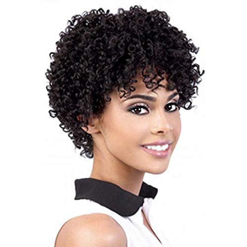Swiking Short Afro Curly Wig For Black Women Hair Kinky Wigs With Bangs Synthetic Heat Resistant Cosplay Wigs Natural Looking Wigs(Black) #TOP6