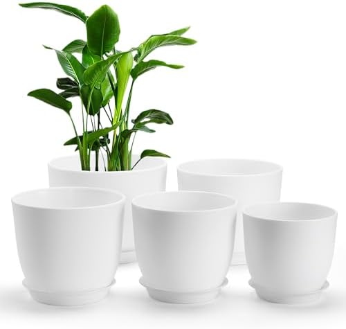 A TABLE Plat ROYAL YERSEKE en porcelaine main image 0