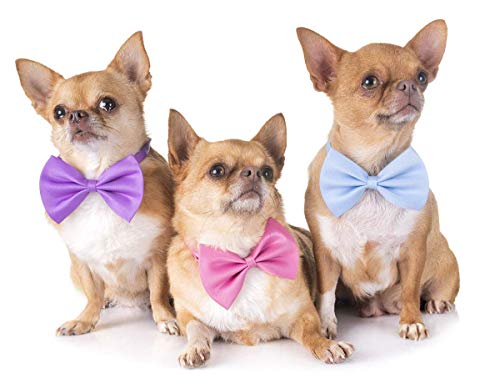 YUEPET 20PCS Pet Dog Bow Ties Collar Adjustable Cat Bow Ties Neck Bows Bulk Pet Bowties Mix 20 Colors Solid Pet Collars Accessories for Small Medium Dog Cat Pets Christmas Birthday Holiday Photography - Thumbnail 5