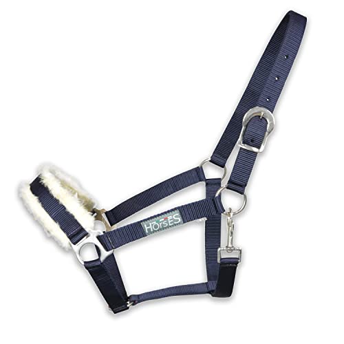 Horses, Cavezza Winry con Pelo Blu Full, Cavezza Confortevole, Utile per Condurre Il Cavallo a Mano o per Assicurarlo Durante Le Operazioni di Strigliatura, Sellatura o Trasporto