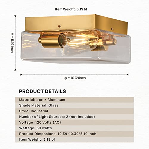 2-Light Flush Mount Ceiling Light Fixture, Gold Ceiling Light With Clear Glass Shade, Modern Light Fixtures Ceiling For Dining Room Living Room Kitchen Bedroom Bulb Not Included #TOP3