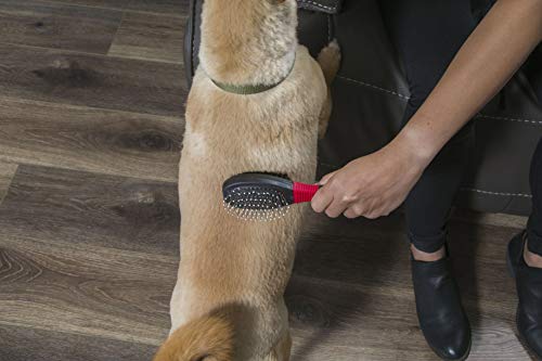 FURemover Grooming Brush & Comb Set, Suitable for All Coats, Includes One Flea Comb and One Dual-Sided Brush with Soft… - Image 2
