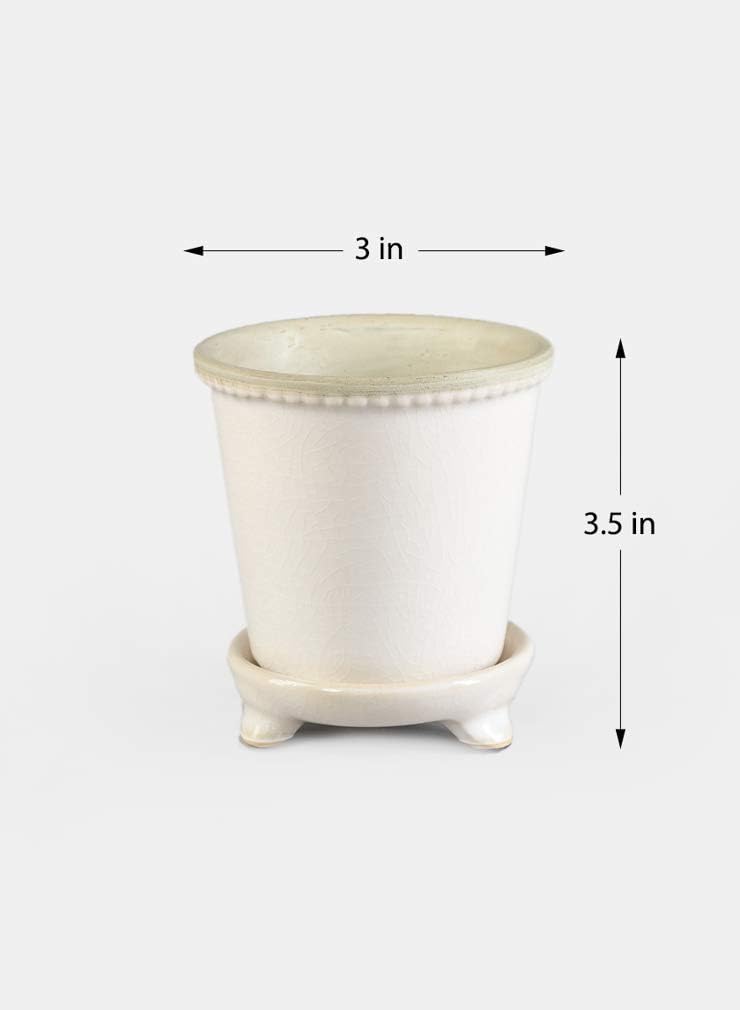 Serene Spaces Living Set of 6 White & Gray Mini Ceramic Pot and Saucer 3.5 inch Height, Planter for Cactii, Succulents