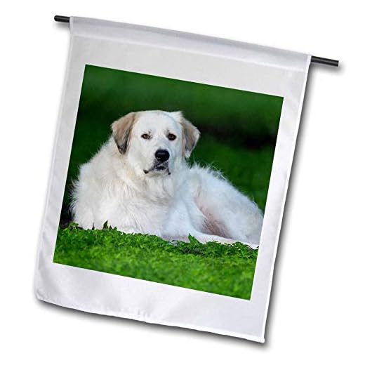 3dRose Great Pyrenees or Pyrenean Mountain Dog 18 x 27 inch Garden Flag