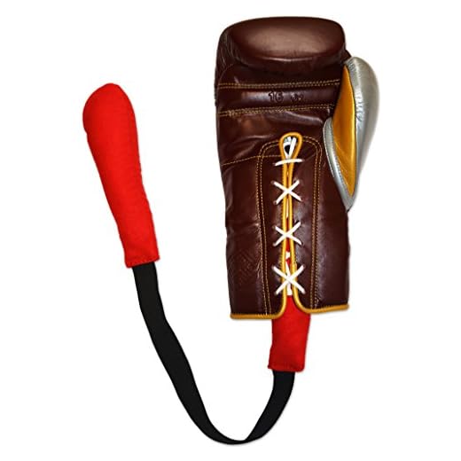 Ring to Cage Gloves Dog - Boxing Gloves Sweat Absorber