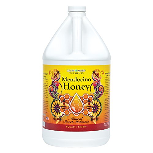 Miel Mendocino 2.5 Gal (2 por caja) miniatura 1