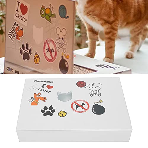 Cat Scratch Laptop, Brinquedos Interativos para Gatos Percorra As Redes Sociais e Acompanhe Os Mews