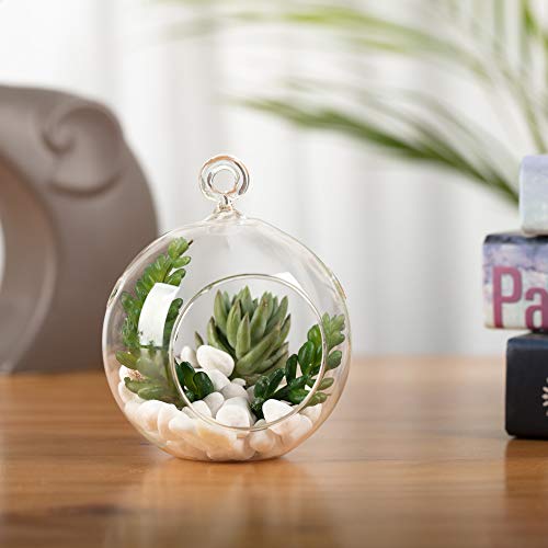 Wgvi HCH0104 Wgv Hanging Terrarium Globe, Width 4", Height 4.75", Diy Air Succulent Planter, Clear Glass Vase Orb thumb #4