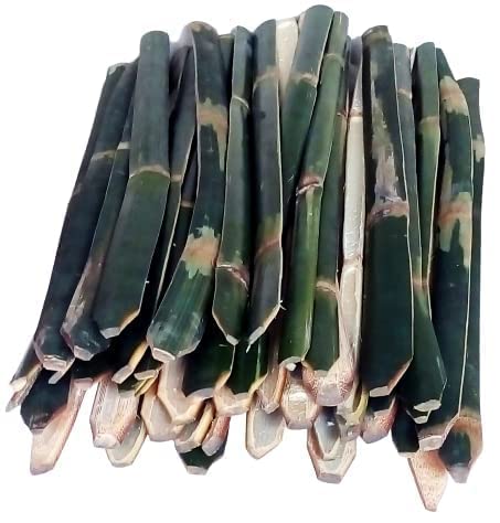 Ck Bamboo Sticks Bas Sticks Size 2 feet/ 24 inch (pack of 35 pc)