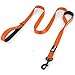 Primal Pet Gear Dog Leash 6ft Long - Traffic Padded Two Handle - Heavy Duty - Double Handles Lead for Control Safety Training - Leashes for Large Dogs or Medium Dogs (6FT, Orange)