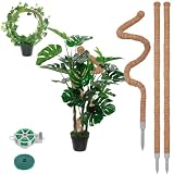 30" Moss Pole, 3 Pack Bendable Monstera Plant Support Plant Stakes
