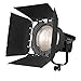 Nanlite Fresnel Lens for Forza 300 and 500 (FL-20G)