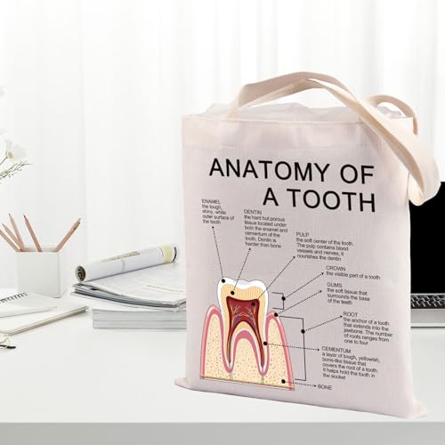 Sac à provisions assistant dentaire anatomie d'une dent en coton taille M - 3