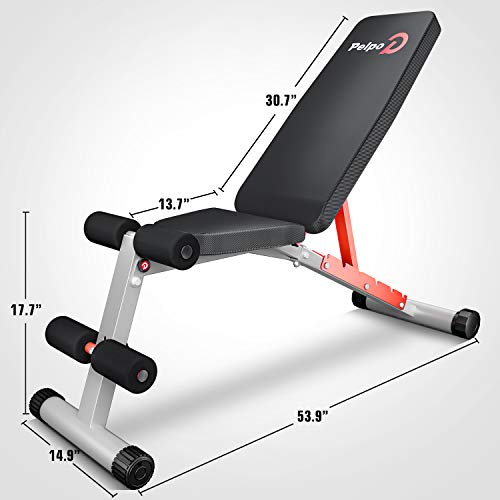 Pelpo Weight Bench for Full Body Workout, Adjustable Workout Bench Press for Home Gym Strength Training, Incline Decline Utility Weight Bench with 6 Positions, Silver Frame