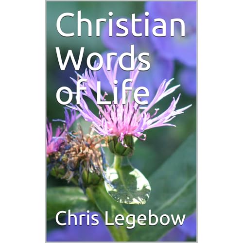 Christian Words of Life Audiolibro Por Chris Legebow arte de portada