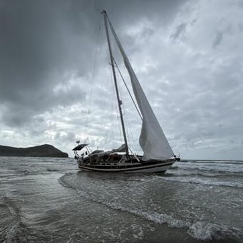 Page de couverture de Police hunt for missing U.S. sailor in Far North