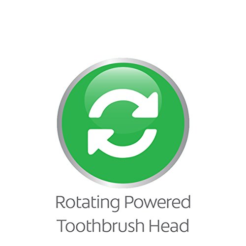Colgate Kids Battery Powered Toothbrush, Branch