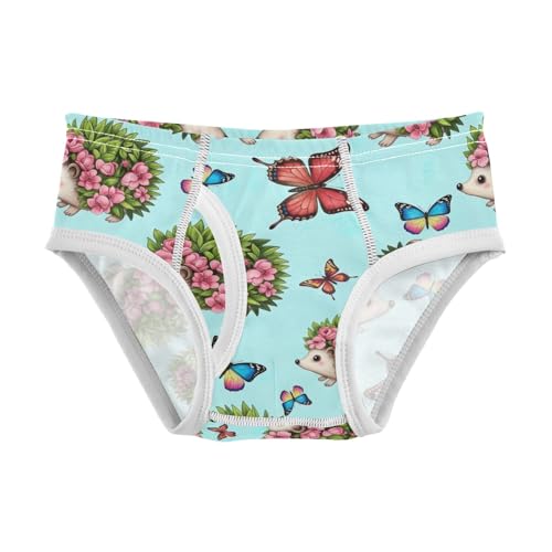 CHIFIGNO Underwear for Boys Cute Hedgehog Butterfly Blue Cotton Boys' Briefs Soft Breathable Briefs Underwear