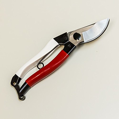 Amazon | 花隈川刈込鋏 赤柄180mm はさみ ハサミ 全鋼+ 家庭用剪定鋏