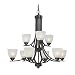 Modern Bronze Finish Chandelier with 9- Lights