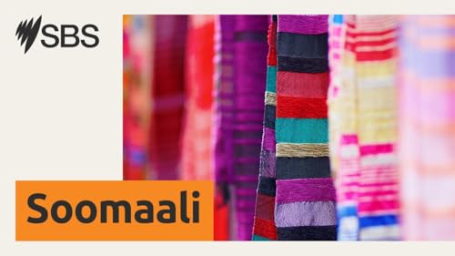 ‘I felt powerless’: Dalabyo lagu xoojinayo aqoonta sharci ee dhibbanayaasha kufsiga cover art