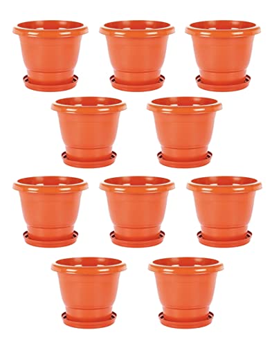 See full amazon price history chart for God of Goods Heavy Duty Plastic Future Brown Pot for Flowers Plants for Home/Gardens Indoor/Outdoor Planter with Bottom Plate/Tray (10 Inches, Pack of 10) God of Goods Heavy Duty Plastic Future Brown Pot for Flowers Plants for Home/Gardens Indoor/Outdoor Planter with Bottom Plate/Tray (10 Inches, Pack of 10) (B09M8F3QZ9) Amazon Price History, Amazon Price Tracker