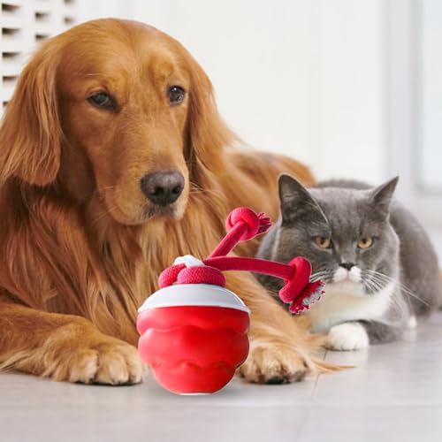 Boule mobile électrique pour chien avec design durable et sécurité renforcée