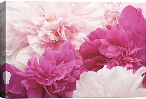 SIGNWIN Canvas Wall Art Bouquet of Blush Pink, Red and White Peony Floral Flower Photography Modern Art Romantics Closeup Duotone for Living Room, Bedroom, Office - 16x24 inches