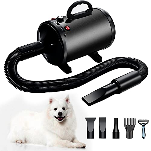List of Top Ten Best Dog Hair Dryers [Experts 2023 Reviews]