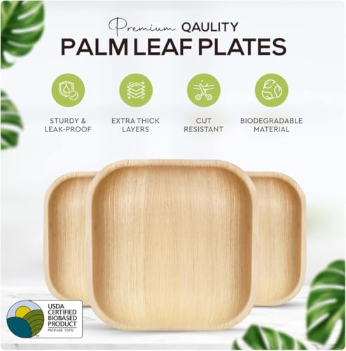 KoalaLove 200-Count 6-Inch Eco-Friendly Palm Leaf & Bamboo Paper Plates for Appetizers and Desserts