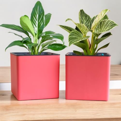 Image of Indian Discovery Self Watering Tabletop Planter| Flower Pots for Home, Terrace, Balcony, Garden Decor Flower Pots(1 PC, Baby Pink, Square) |6 Inch UV-Resistant Plastic Plant Pots