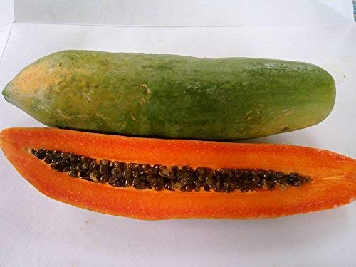 See full amazon price history chart for Golden Hills Farm Kak dum Papaya Thai very sweet,fresh 50 seeds Golden Hills Farm Kak dum Papaya Thai very sweet,fresh 50 seeds (B07PYXMF2P) Amazon Price History, Amazon Price Tracker