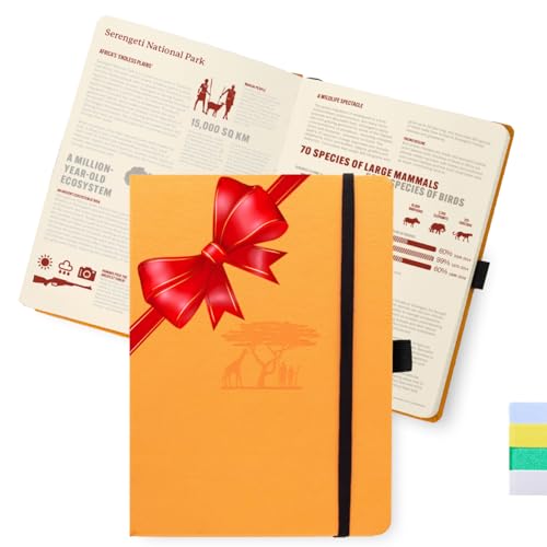 13 Eco-Friendly School Supplies That Won't Kill the Planet or Your Budget 6 Dingbats Dotted Journal/Notebooks