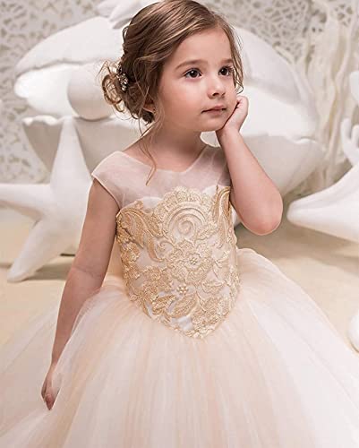 Kncery Tulle Embroidered Flower Girls Dress Princess Sparkle Birthday Party Special Ocasion Dresses For Kids 2-12 Year Old #TOP2