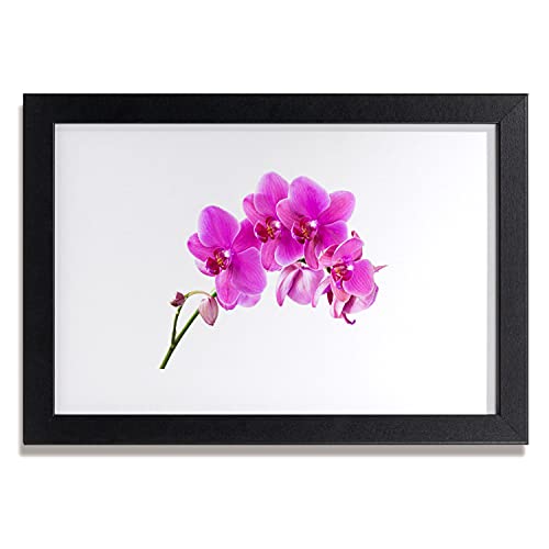 Cadre photo mural orchidée 30x20 cm pour décorer un mur blanc vide