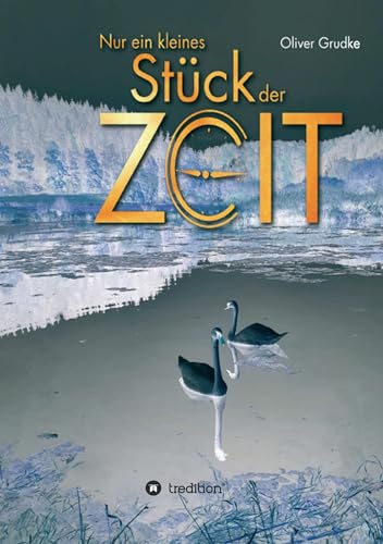 Nur ein kleines Stück der Zeit (German Edition)
