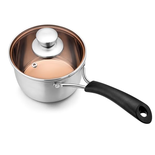 Homikit 14cm Saucepan Stainless Steel Small Milk Sauce Pan with Glass Lid