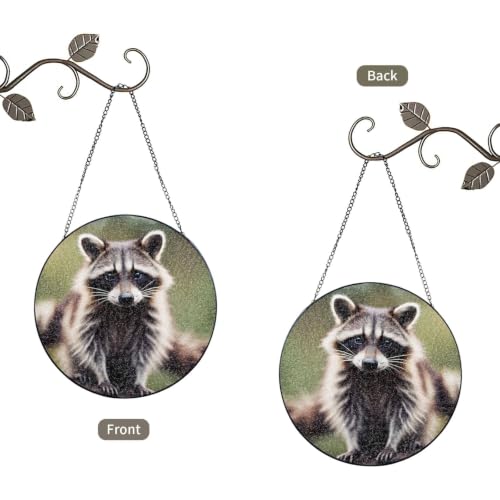 Atrapasueños de cristal con mapache el regalo para mujer ideal de jardín 3