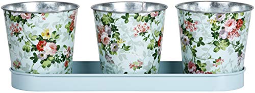 Fallen Fruits Ltd 3 Pots on Tray (Rose), Assorted