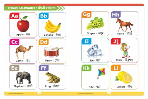 Image of My First Picture Book All in One (Hindi-English) Board Book for Kids | Learn Alphabets, Fruits, Animals, Birds, Colours & More with Dual Language Words & Pictures | Early Learning Book