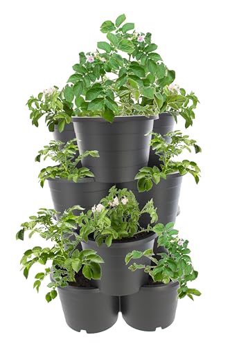 SUSTANIA 1er Set Pflanzturm 4 Etagen Kartoffelturm, Maße: 66x42x40 cm,Pflanzkübel für Kartoffeln & Gemüse, Made in EU, Farbe: Anthrazit