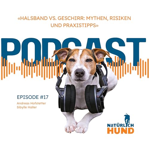 Halsband vs. Geschirr: Mythen, Risiken und Praxistipps #17