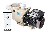 LINGXIAO Variable Speed Pool Pump 3 HP, Smart Pool Pump Inground with Smart Life Control, 230V, 10302GPH, Energy Star Certificate, Powerful Flow Pool Pumps Motor - (2025 New Upgrade)