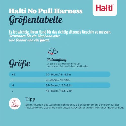 Halti No Pull Geschirr und Trainingsleine Kombi-Pack - Stop Dog Pulling on Walks mit Halti, Includes Medium No Pull Harness und Double Ended Lead